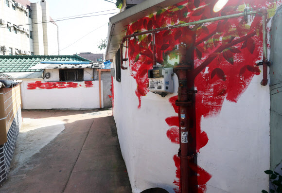 수원 행궁벽화마을 주민들이 벽화 훼손