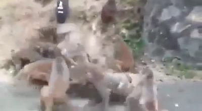 유튜브 영상 캡처