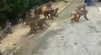 유튜브 영상 캡처