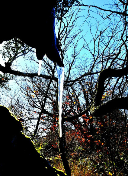 한글날인 9일 아침 기온이 큰 폭으로 떨어지면서 국립공원 덕유산 중봉 일대에 올해 첫 상고대와 고드름이 관측됐다.  덕유산 국립공원 사무소에 따르면 이날 새벽 3~4시 사이, 영하 5~6도의 날씨를 보인 가운데 중봉 일대 나뭇가지에 상고대가 맺혔다.  상고대와 함께 고드름도 생겨 겨울이 눈앞에 성큼 다가오고 있음을 전했다.  사진가 남광진씨 제공 = 연합뉴스