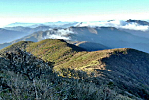 한글날인 9일 아침 기온이 큰 폭으로 떨어지면서 국립공원 덕유산 중봉 일대에 올해 첫 상고대와 고드름이 관측됐다.  덕유산 국립공원 사무소에 따르면 이날 새벽 3~4시 사이, 영하 5~6도의 날씨를 보인 가운데 중봉 일대 나뭇가지에 상고대가 맺혔다.  상고대와 함께 고드름도 생겨 겨울이 눈앞에 성큼 다가오고 있음을 전했다.  사진가 남광진씨 제공 = 연합뉴스