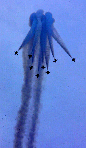 화려한 기동 선보이는 블랙이글스