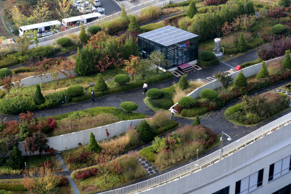 정부세종청사 옥상정원 세계 최고