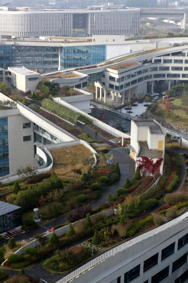 정부세종청사 옥상정원 세계 최고