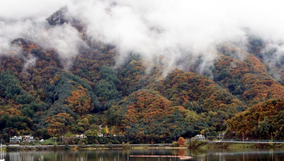 안개가 덮힌 단풍산