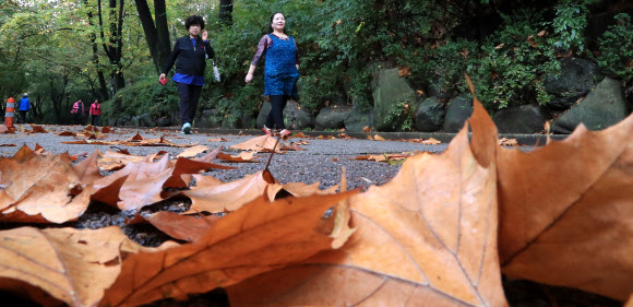 가을 낙엽