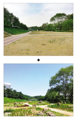 2015년 4월 들꽃초화원 조성 전(위)과 2016년 5월 들꽃초화원 조성 후(아래).