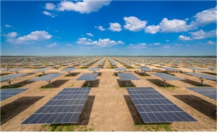 ㈜파루가 2014년부터 3년간 미국 텍사스주에 공급한 추적형 태양광 발전시스템. 400㎿ 규모로 축구장 약 1600개의 크기로 건설된 단일 규모로는 세계 최대 태양광발전소다.<br>파루 제공<br>