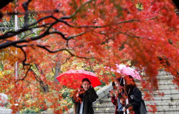 가을낭만 넘치는 캠퍼스