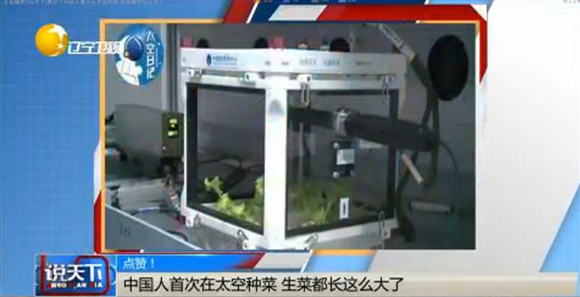 중국 우주 상공에서의 식물(상추) 재배 장치. 중국 CCTV 캡쳐