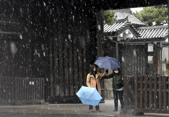 24일(현지시간) 일본 도쿄에서 황제 궁전의 정원을 방문한 관광객들이 눈이 내려 우산을 쓰고 있다. 이날 일본 도쿄에 첫눈이 내렸다. 도쿄에서 11월에 첫눈이 내린 것은 54년만이다. 첫눈은 평년보다는 40일, 지난해 보다는 49일 일찍 온 것이다. EPA 연합뉴스