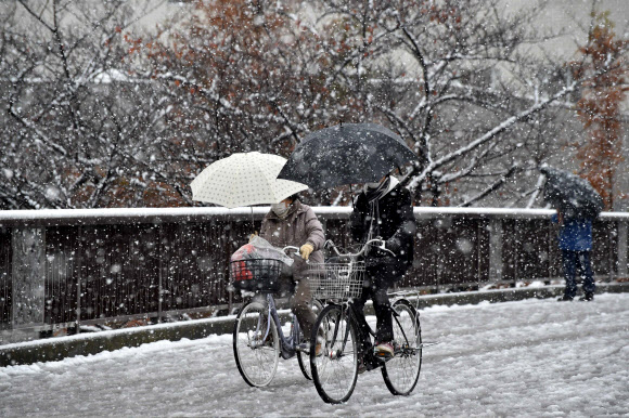 24일(현지시간) 일본 도쿄에서 사람들이 우산을 쓰고 눈을 피하며 자전거를 타고 있다. 이날 일본 도쿄에 첫눈이 내렸다. 도쿄에서 11월에 첫눈이 내린 것은 54년만이다. 첫눈은 평년보다는 40일, 지난해 보다는 49일 일찍 온 것이다. AFP 연합뉴스