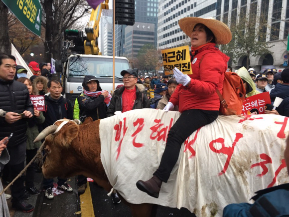 광화문에 등장한 소