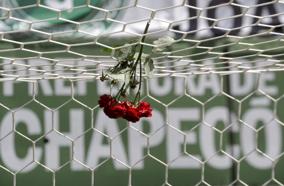 브라질 비행기 추락사고 축구선수들을 애도하며…