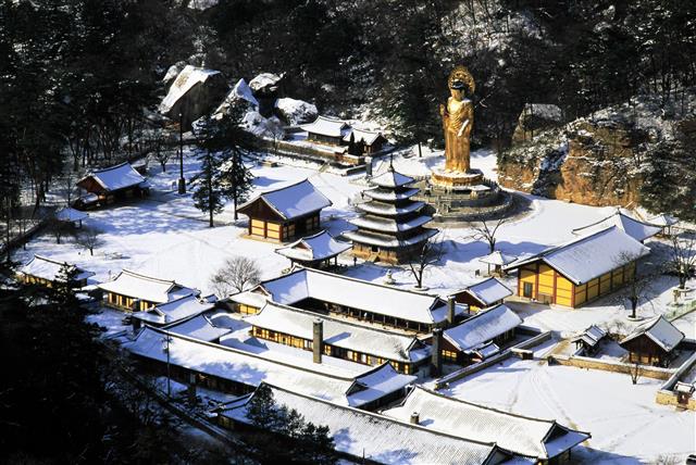 천년 고찰 법주사. 보은군 제공