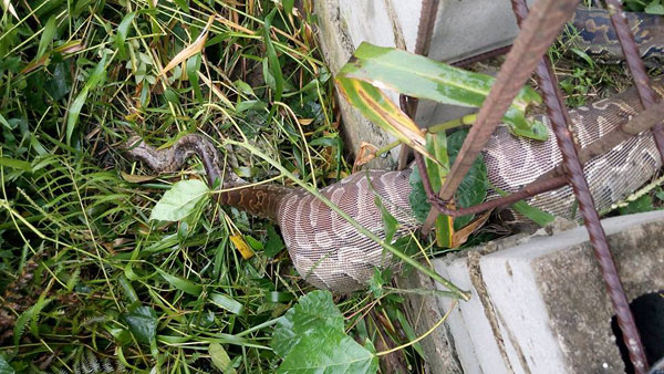 Hon Johnbull Cleopas Facebook