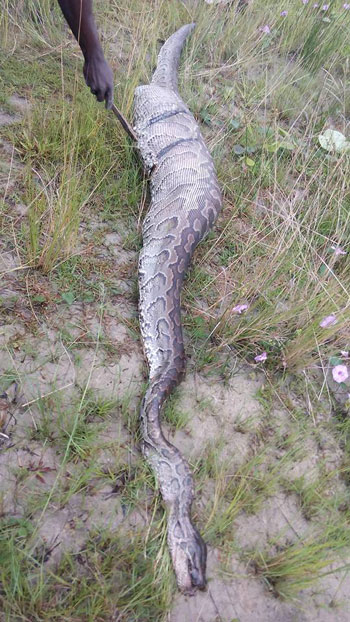 Hon Johnbull Cleopas Facebook