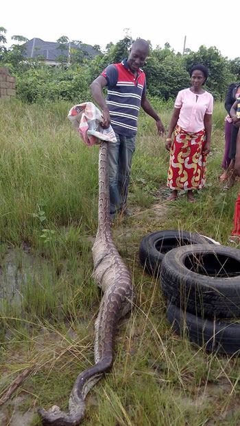 Hon Johnbull Cleopas Facebook