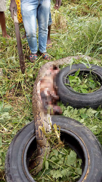 Hon Johnbull Cleopas Facebook