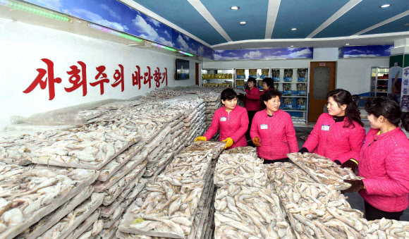 김정은, 평양시민에 물고기 수천톤 전달