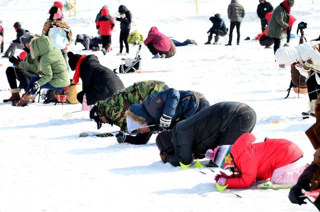 지난해 열린 평창 송어축제의 송어낚시터 모습. <br>평창군 제공