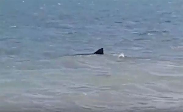 Meroma Whap Facebook