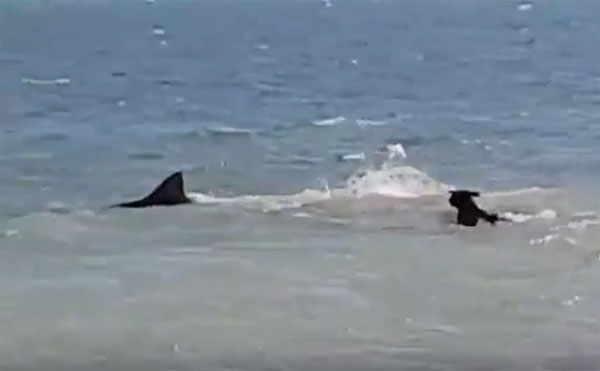 Meroma Whap Facebook