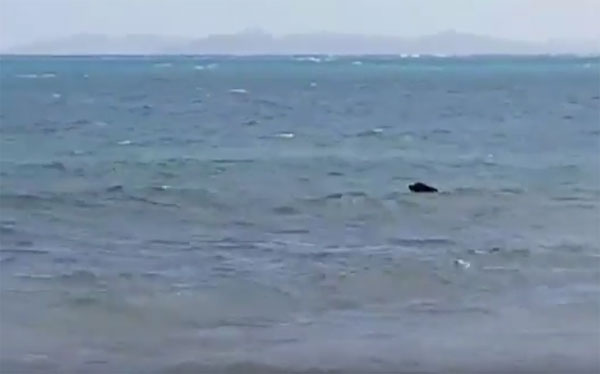 Meroma Whap Facebook