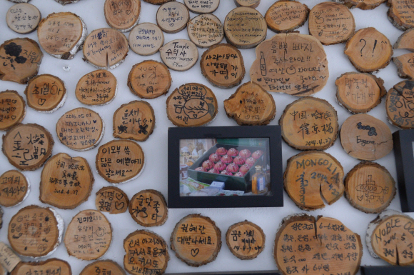 은성농원 방문객들이 기념으로 붙인 다양한 포스트잇. 예산 최해국 선임기자 seaworld@seoul.co.kr