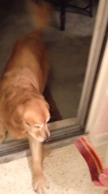 Brittany Gaunt youtube