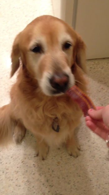 Brittany Gaunt youtube