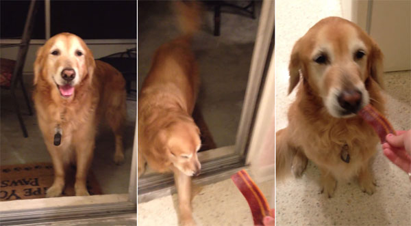 Brittany Gaunt youtube