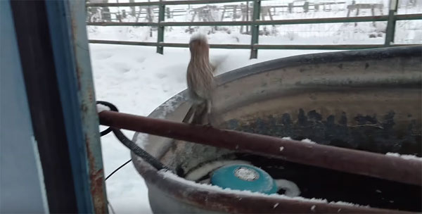 Nelson Wilson youtube