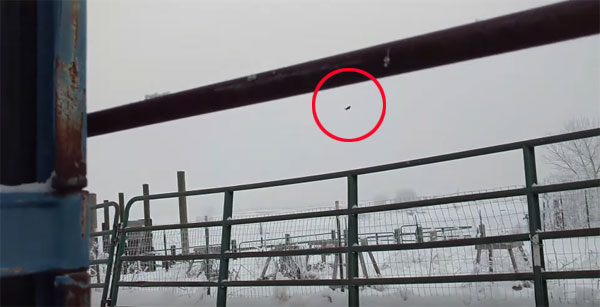 Nelson Wilson youtube