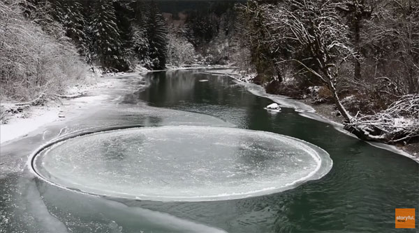 Storyful News youtube