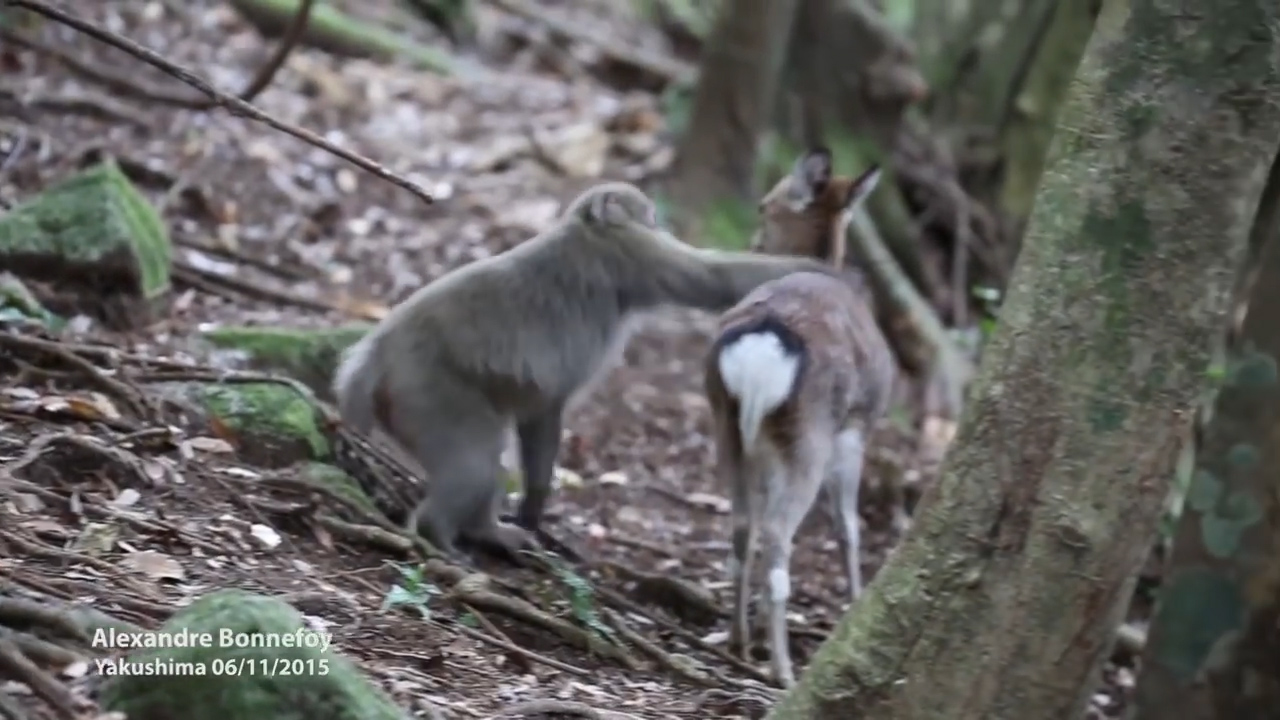 유튜브 영상 캡처