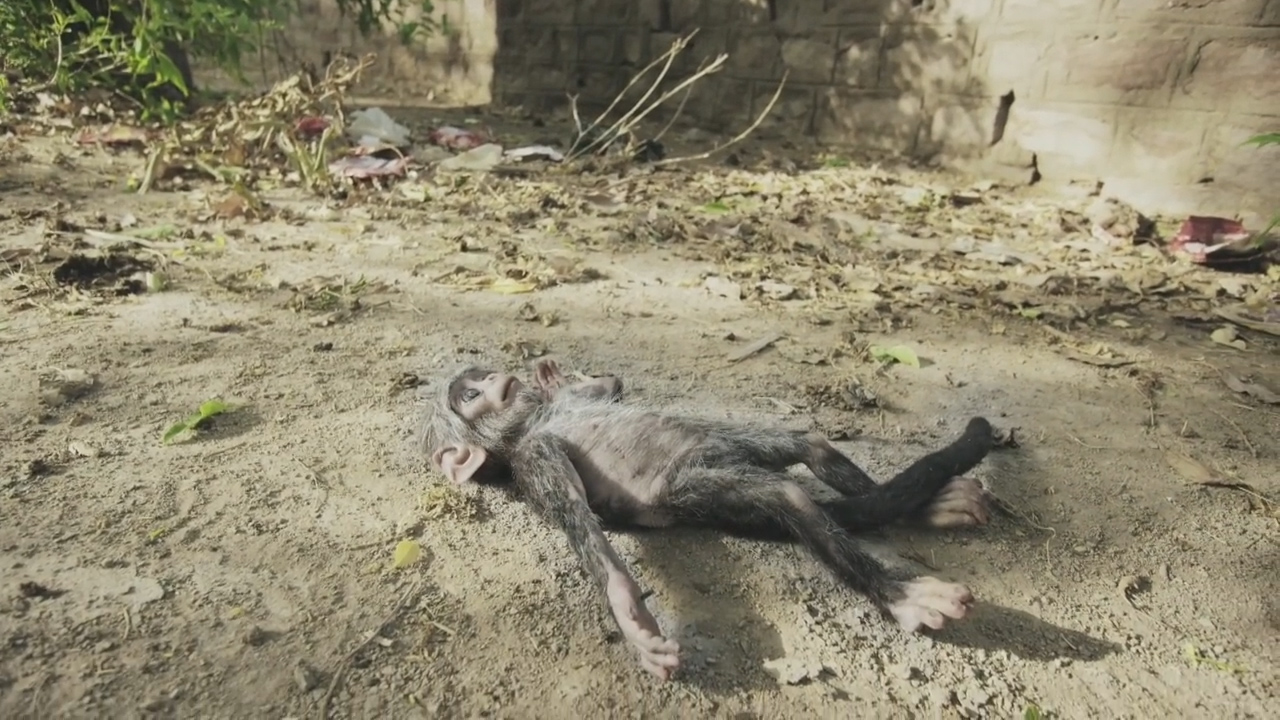 BBC ‘스파이 인 더 월드’ 예고편 캡처