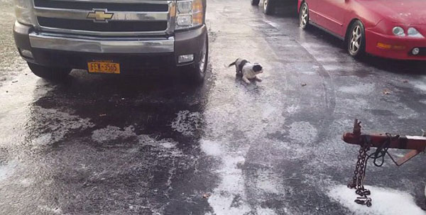 Brandon Mooney Instagram