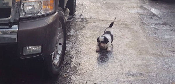 Brandon Mooney Instagram