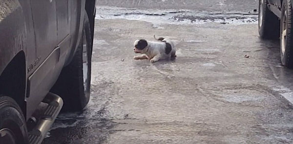 Brandon Mooney Instagram