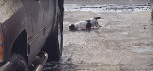 Brandon Mooney Instagram