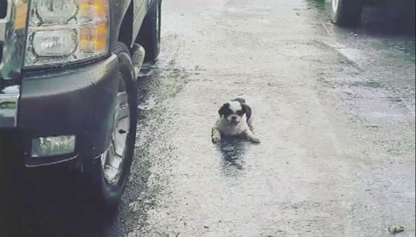 Brandon Mooney Instagram