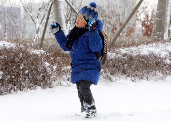 전국적으로 많은 눈이 내린 20일 오전 충남 홍성에서 한 어린이가 눈길을 걸어가고 있다.  연합뉴스