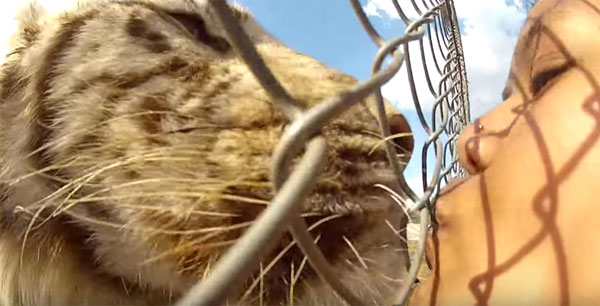 Marie Calata youtube