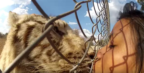 Marie Calata youtube