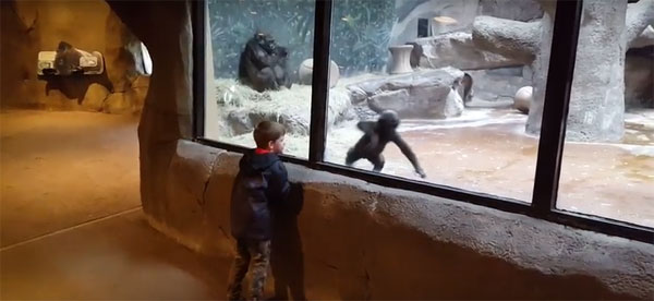 mailmanbrian youtube