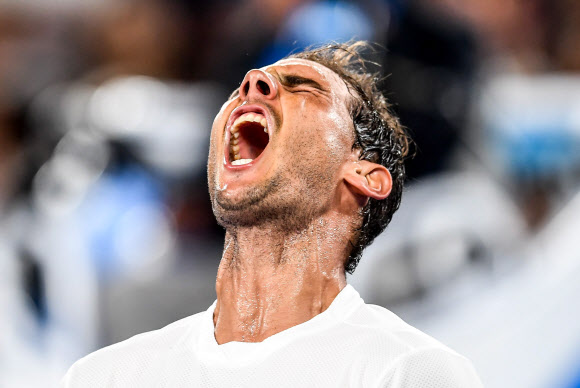 epaselect epa05744420 Rafael Nadal of Spain celebrates after winning the Mens Singles round four match against Gael Monfils of France at the Australian Open Grand Slam tennis tournament in Melbourne, Victoria, Australia, 23 January 2017.  EPA/FILIP SINGER7.  EPA/FILIP SINGER/2017-01-24 00:10:46/ <저작권자 ⓒ 1980-2017 ㈜연합뉴스. 무단 전재 재배포 금지.>