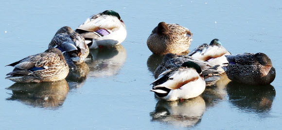 ’아이고 추워’