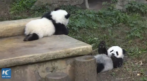 New China TV youtube