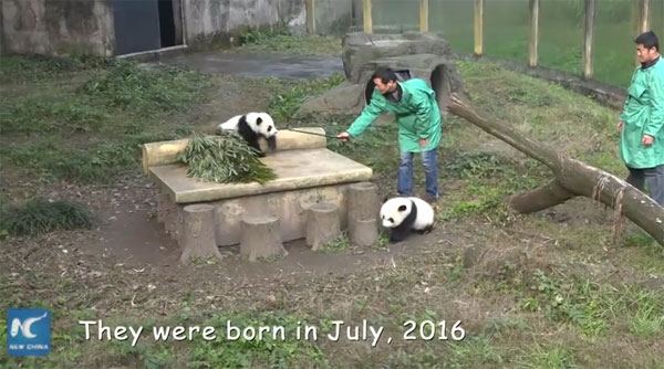 New China TV youtube